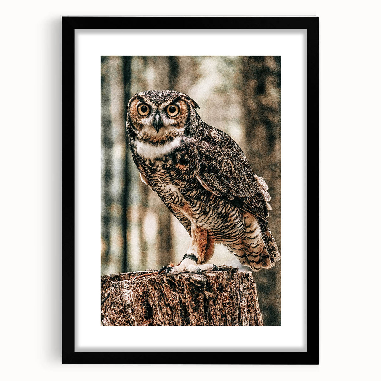 Regal Owl Wall Art – Rustic Farmhouse Nature-Inspired Decor Print