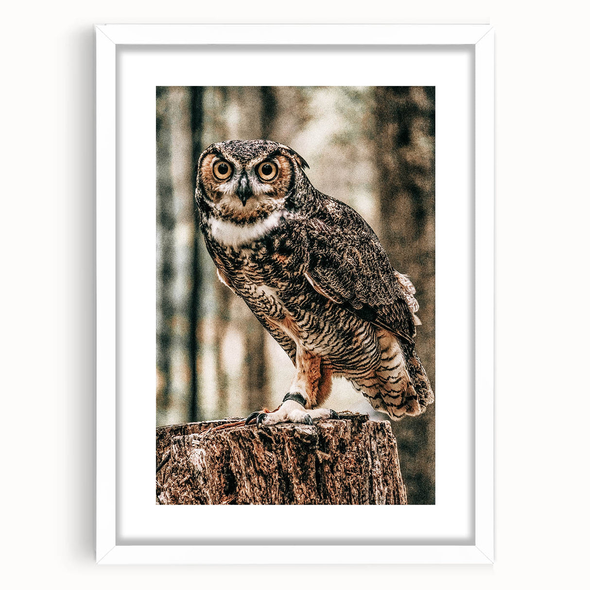 Regal Owl Wall Art – Rustic Farmhouse Nature-Inspired Decor Print