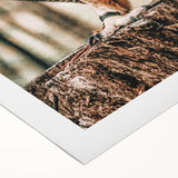 Regal Owl Wall Art – Rustic Farmhouse Nature-Inspired Decor Print