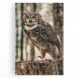 Regal Owl Wall Art – Rustic Farmhouse Nature-Inspired Decor Print