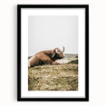 Highland Cow Wall Art – Rustic Farmhouse Nature-Inspired Decor Print