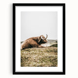 Highland Cow Wall Art – Rustic Farmhouse Nature-Inspired Decor Print