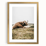 Highland Cow Wall Art – Rustic Farmhouse Nature-Inspired Decor Print