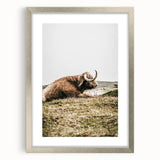 Highland Cow Wall Art – Rustic Farmhouse Nature-Inspired Decor Print