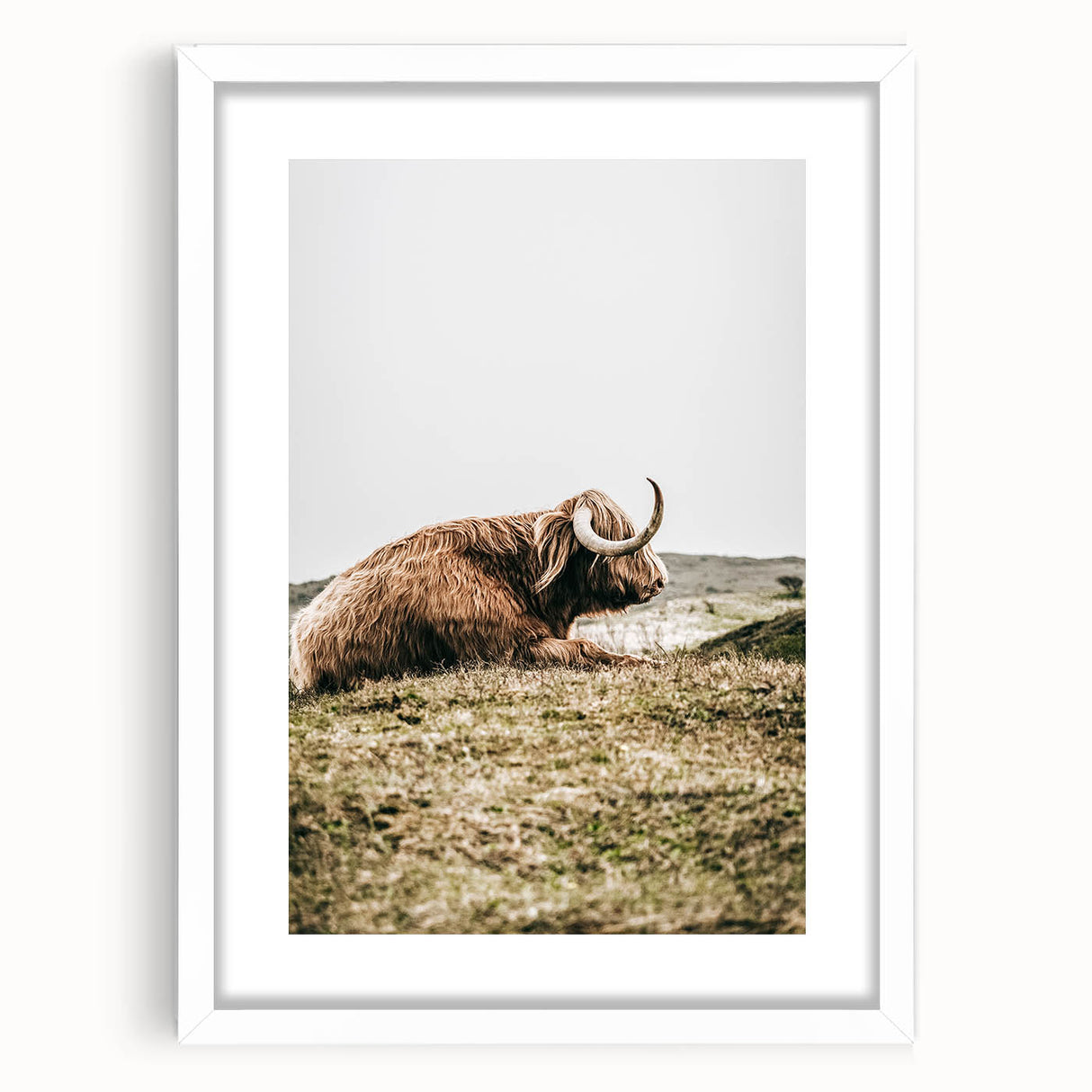 Highland Cow Wall Art – Rustic Farmhouse Nature-Inspired Decor Print