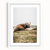 Highland Cow Wall Art – Rustic Farmhouse Nature-Inspired Decor Print