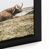 Highland Cow Wall Art – Rustic Farmhouse Nature-Inspired Decor Print