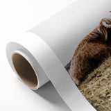 Highland Cow Wall Art – Rustic Farmhouse Nature-Inspired Decor Print