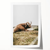 Highland Cow Wall Art – Rustic Farmhouse Nature-Inspired Decor Print