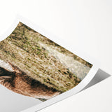 Highland Cow Wall Art – Rustic Farmhouse Nature-Inspired Decor Print