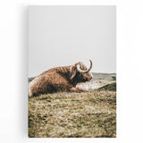 Highland Cow Wall Art – Rustic Farmhouse Nature-Inspired Decor Print