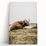 Highland Cow Wall Art – Rustic Farmhouse Nature-Inspired Decor Print
