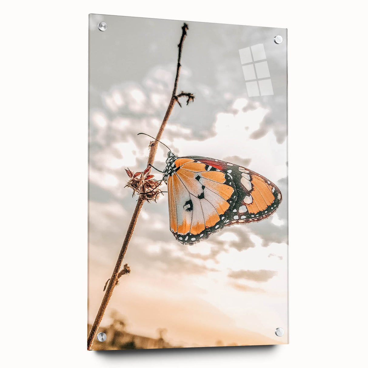 Butterfly Wall Art – Rustic Farmhouse Nature-Inspired Decor Print