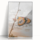 Butterfly Wall Art – Rustic Farmhouse Nature-Inspired Decor Print