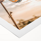 Butterfly Wall Art – Rustic Farmhouse Nature-Inspired Decor Print