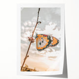 Butterfly Wall Art – Rustic Farmhouse Nature-Inspired Decor Print