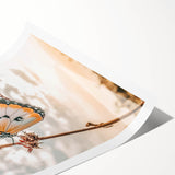 Butterfly Wall Art – Rustic Farmhouse Nature-Inspired Decor Print