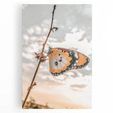 Butterfly Wall Art – Rustic Farmhouse Nature-Inspired Decor Print