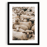 Sheep Herd Wall Art – Rustic Farmhouse Nature-Inspired Country Decor