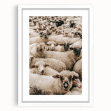 Sheep Herd Wall Art – Rustic Farmhouse Nature-Inspired Country Decor