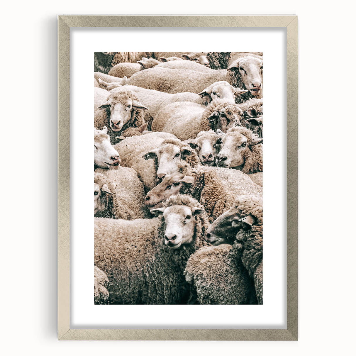 Sheep Herd Wall Art – Rustic Farmhouse Pastoral Country Decor Print