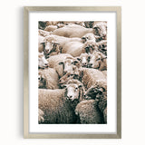 Sheep Herd Wall Art – Rustic Farmhouse Pastoral Country Decor Print