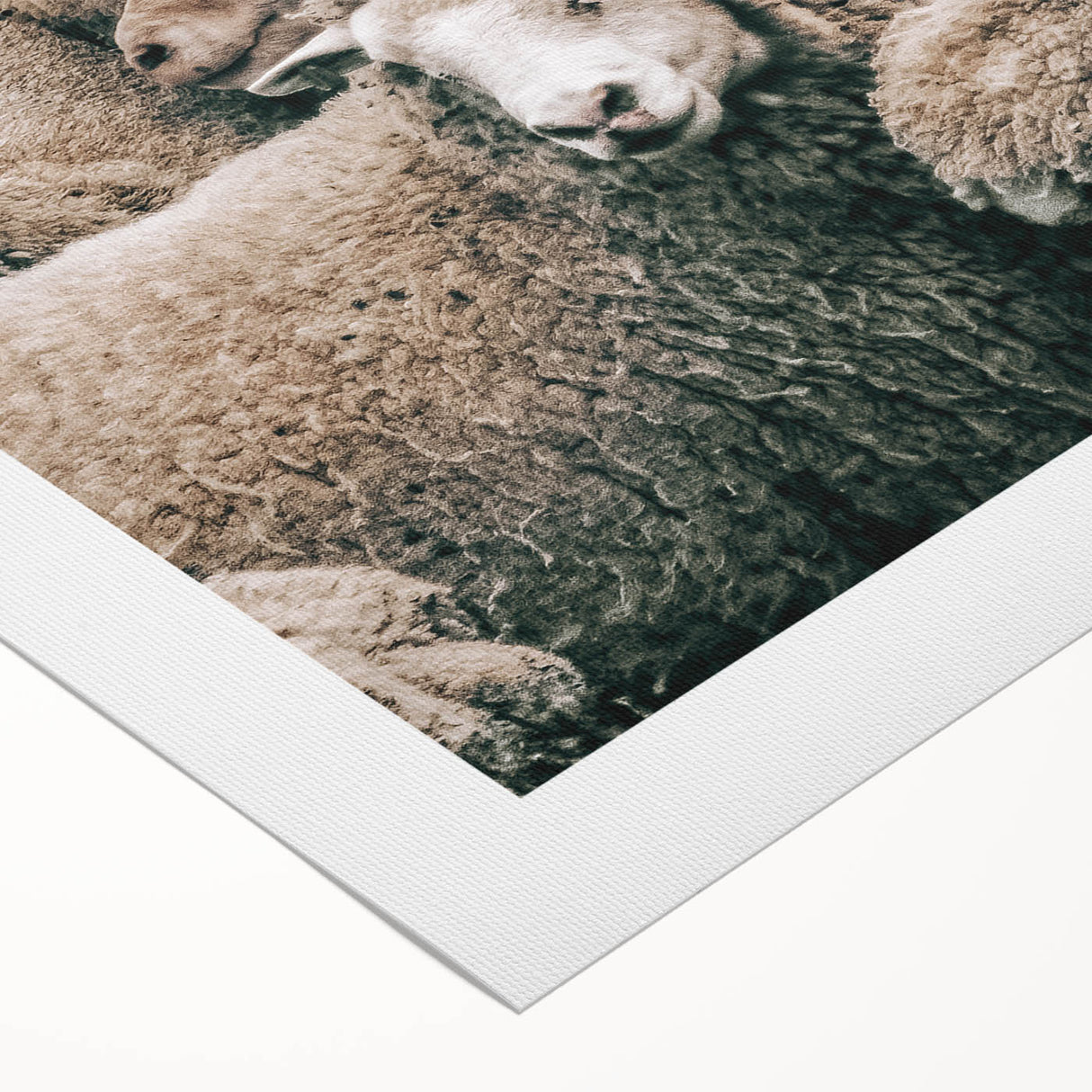 Sheep Herd Wall Art – Rustic Farmhouse Pastoral Country Decor Print