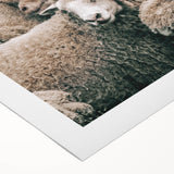 Sheep Herd Wall Art – Rustic Farmhouse Pastoral Country Decor Print