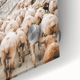 Mountain Sheep Herd Wall Art – Rustic Farmhouse Country Decor Print