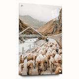 Mountain Sheep Herd Wall Art – Rustic Farmhouse Country Decor Print