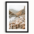 Mountain Sheep Herd Wall Art – Rustic Farmhouse Country Decor Print