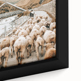 Mountain Sheep Herd Wall Art – Rustic Farmhouse Country Decor Print