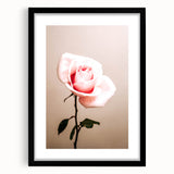 Pink Rose Wall Art – Rustic Farmhouse Elegant Nature-Inspired Decor Print