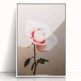 Pink Rose Wall Art – Rustic Farmhouse Elegant Nature-Inspired Decor Print