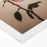 Pink Rose Wall Art – Rustic Farmhouse Elegant Nature-Inspired Decor Print