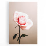 Pink Rose Wall Art – Rustic Farmhouse Elegant Nature-Inspired Decor Print