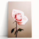 Pink Rose Wall Art – Rustic Farmhouse Elegant Nature-Inspired Decor Print
