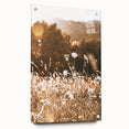 Sunlit Meadow Wall Art – Rustic Farmhouse Nature-Inspired Decor Print