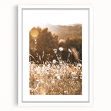 Sunlit Meadow Wall Art – Rustic Farmhouse Nature-Inspired Decor Print