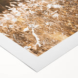 Sunlit Meadow Wall Art – Rustic Farmhouse Nature-Inspired Decor Print