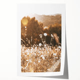 Sunlit Meadow Wall Art – Rustic Farmhouse Nature-Inspired Decor Print