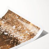 Sunlit Meadow Wall Art – Rustic Farmhouse Nature-Inspired Decor Print