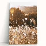 Sunlit Meadow Wall Art – Rustic Farmhouse Nature-Inspired Decor Print