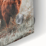 Rustic Farmhouse Wall Art - Highland Cow Country Style Decor Print