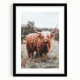 Rustic Farmhouse Wall Art - Highland Cow Country Style Decor Print