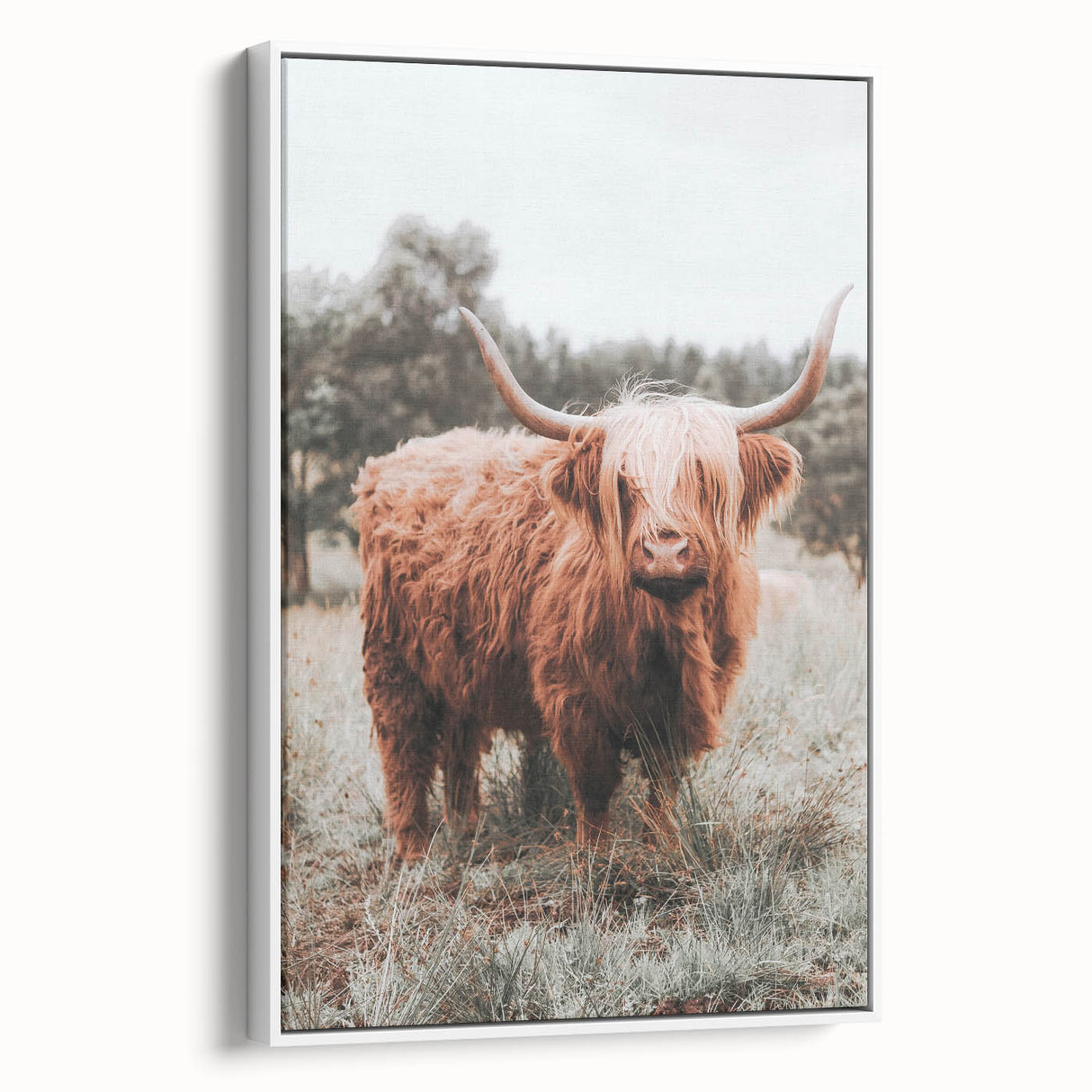 Rustic Farmhouse Wall Art - Highland Cow Country Style Decor Print