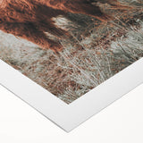 Rustic Farmhouse Wall Art - Highland Cow Country Style Decor Print