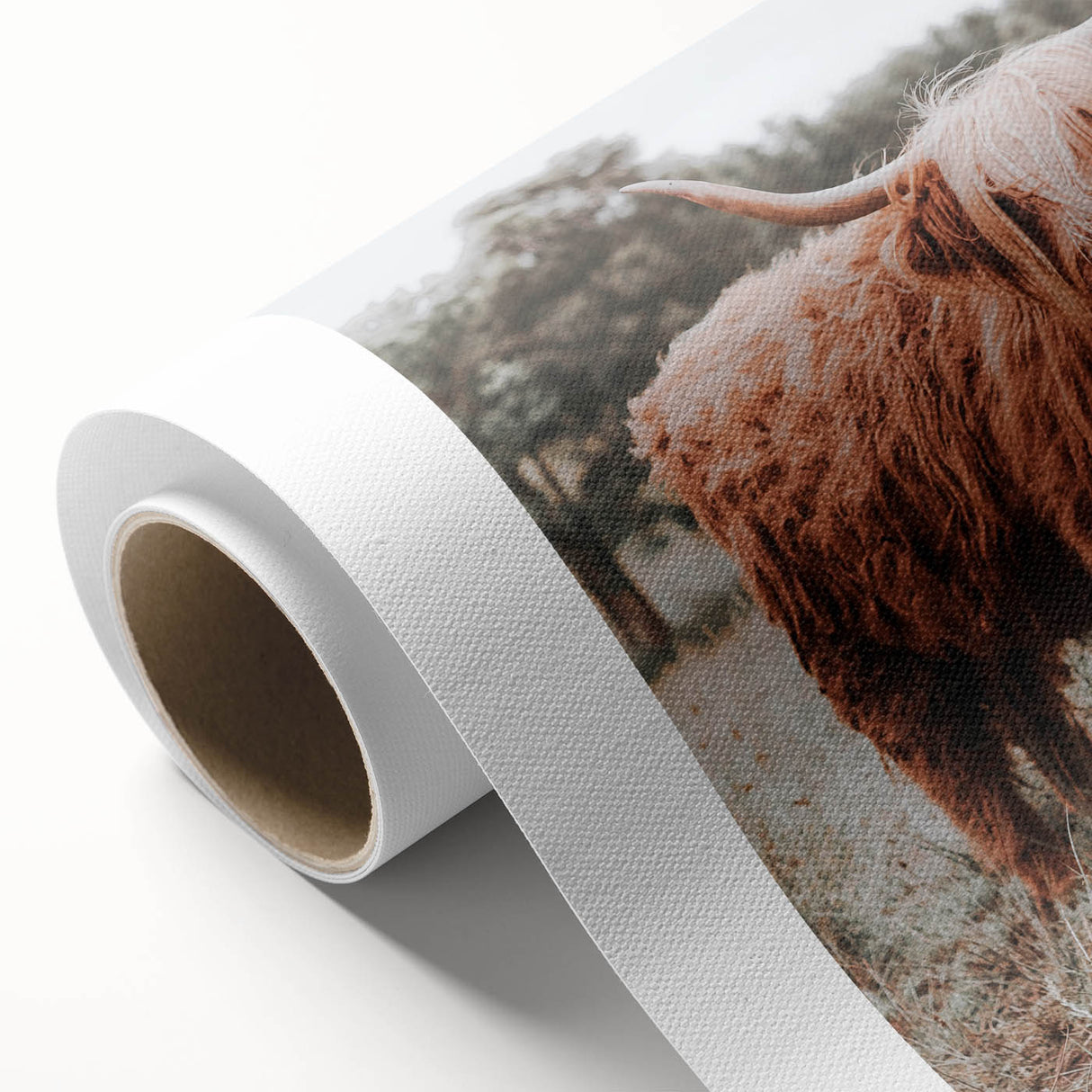Rustic Farmhouse Wall Art - Highland Cow Country Style Decor Print