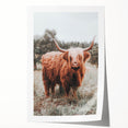 Rustic Farmhouse Wall Art - Highland Cow Country Style Decor Print
