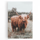 Rustic Farmhouse Wall Art - Highland Cow Country Style Decor Print
